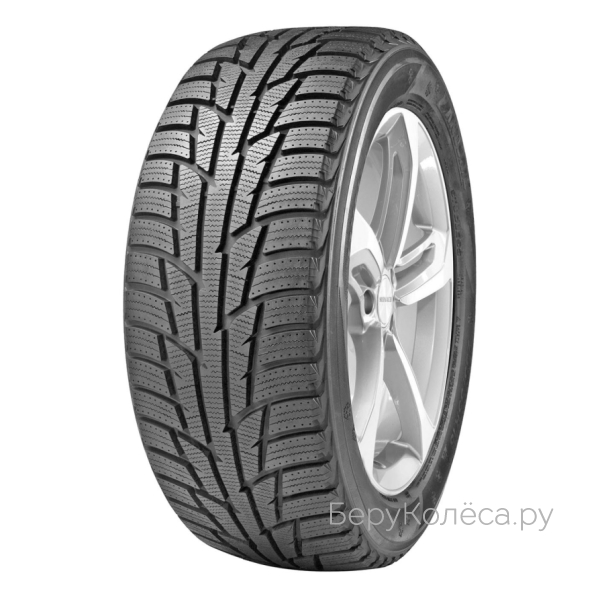 Delinte Winter WD3