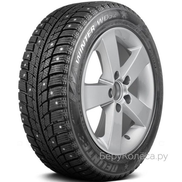 Delinte Winter WD52
