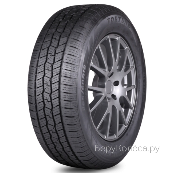 Fortune FSR305