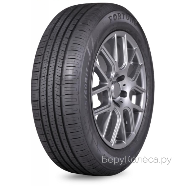 Fortune FSR602