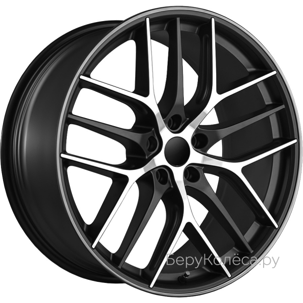 Lizardo XH317