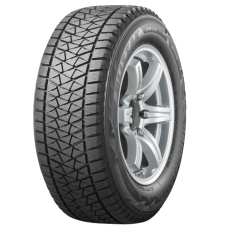 Bridgestone Blizzak DM-V2