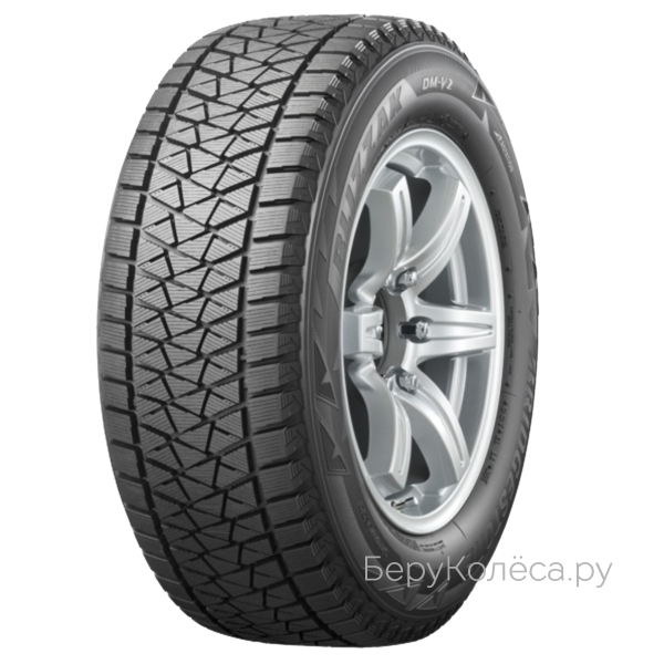 Bridgestone Blizzak DM-V2