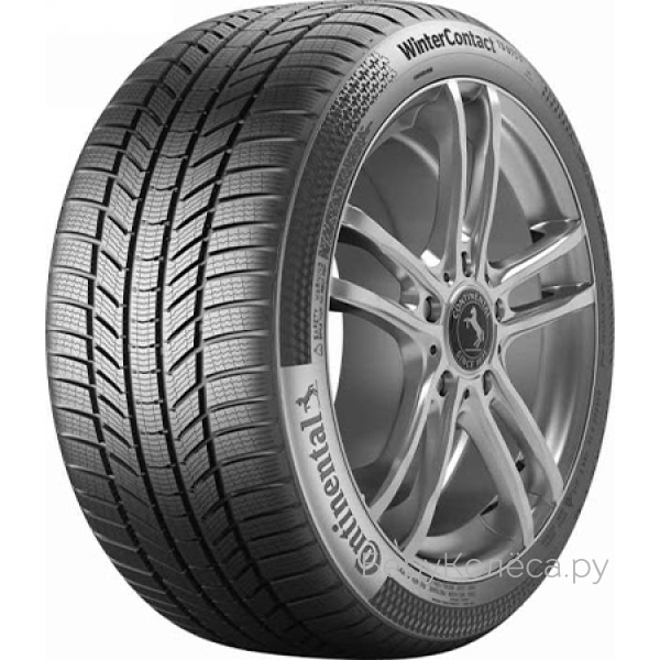Continental ContiWinterContact TS870 P