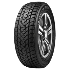 Delinte Winter WD1