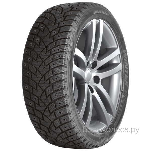 Delinte Winter WD42
