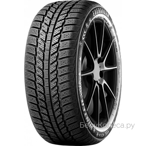 Evergreen Winter EW62