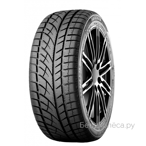 Evergreen Winter EW66