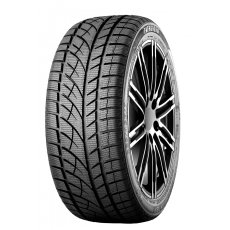 Evergreen Winter EW66