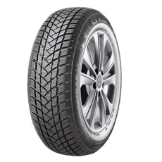 GT Radial WinterPro 2