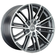 LS 480