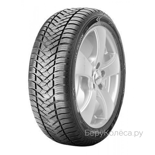 Maxxis AP2