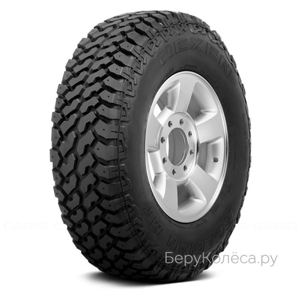 Nexen Roadian MT