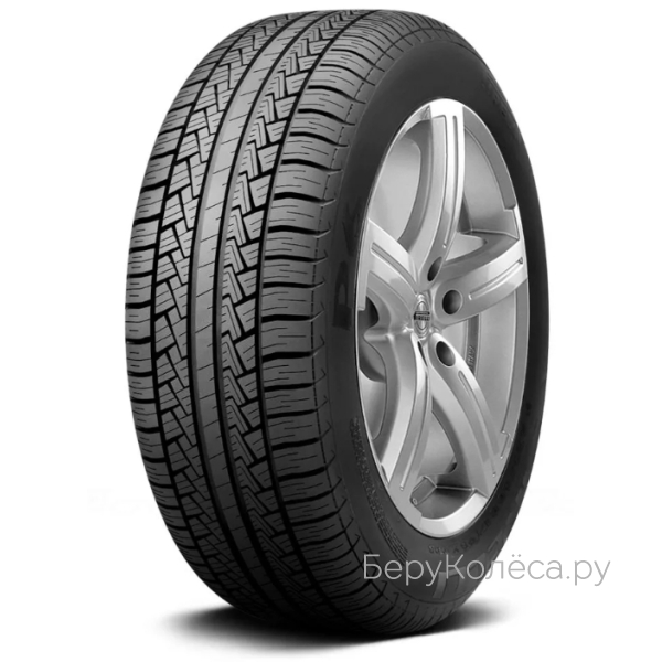 Pirelli P6